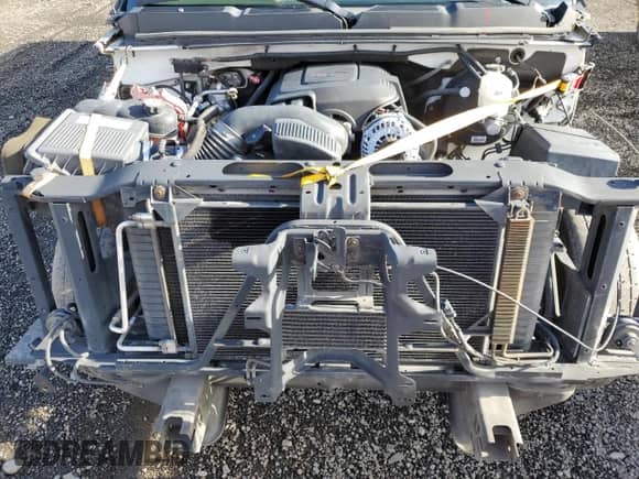 2008 Chevrolet Silverado 1500 Work Truck with VIN 1GCEC19J98E160682, listed as a Copart auction lot 81571684 with Not provided miles and Salvage title. Bid and sale history available at DreamBid. Image 11.