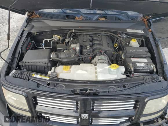 2008 Dodge Nitro R/T с VIN 1D8GU58658W124462, выставлен на аукционе Copart как лот 68324264 с пробегом 151 789 миль миль и Списание • Salvage title. История ставок и продаж доступна на DreamBid. Изображение 13.