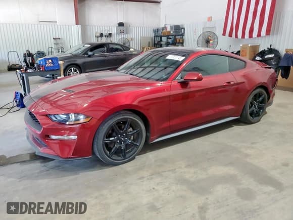 ✅ 2019 Ford Mustang EcoBoost Premium • VIN: 1FA6P8TH7K5129385 • Lot: 70923745. Listed on Copart with 44,343 mi. Free auction sales archive from the USA and detailed vehicle history report at DreamBid. Image 1.