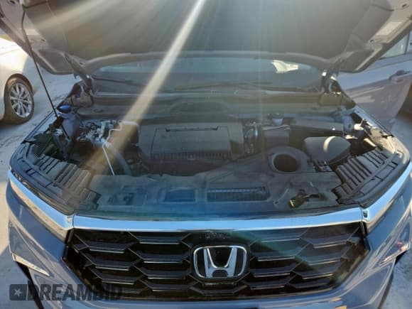 ✅ 2025 Honda Pilot Elite • VIN: 5FNYG1H8XSB091006 • Lot: 81683165. Wystawiony na Copart z przebiegiem 7 198 mil. Bezpłatny archiwum sprzedaży aukcyjnych z USA i szczegółowy raport historii pojazdu na DreamBid. Zdjęcie 12.