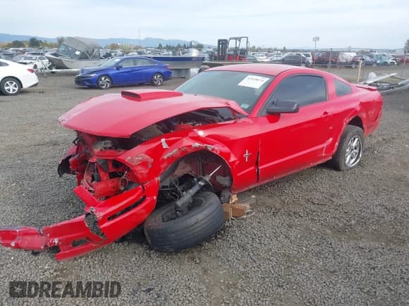 ✅ 2008 Ford Mustang Deluxe • VIN: 1ZVHT80N785196566 • Lot: 43528074. Listed on IAAI with Not provided. Free auction sales archive from the USA and detailed vehicle history report at DreamBid. Image 2.