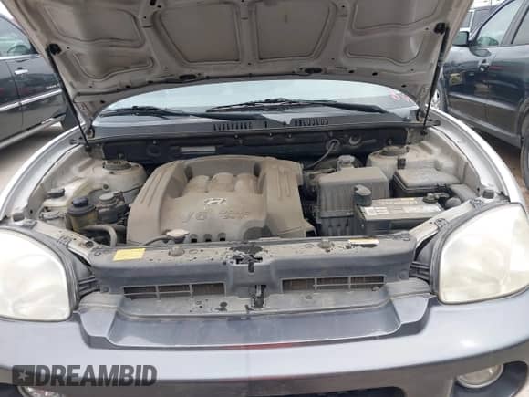 ✅ 2006 Hyundai Santa Fe GLS • VIN: KM8SC13D36U049405 • Лот: 42074217. Размещён на IAAI с пробегом 106 253 миль миль. Получите бесплатный доступ к архиву аукционных продаж из США и посмотрите подробный отчёт об истории автомобиля на DreamBid. Изображение 10.