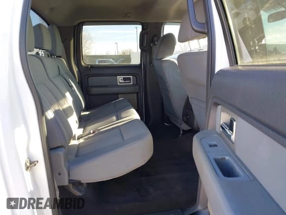 ✅ 2011 Ford F-150 XLT • VIN: 1FTFW1EF0BFB11059 • Lot: 43905361. Listed on IAAI with 290,277 mi. Free auction sales archive from the USA and detailed vehicle history report at DreamBid. Image 8.