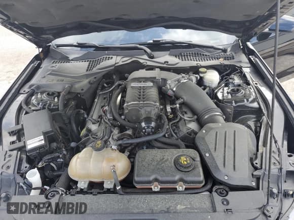 ✅ 2015 Ford Mustang GT Premium • VIN: 1FATP8FF4F5324573 • Lot: 50920815. Wystawiony na Copart z przebiegiem 82 187 mil. Bezpłatny archiwum sprzedaży aukcyjnych z USA i szczegółowy raport historii pojazdu na DreamBid. Zdjęcie 11.