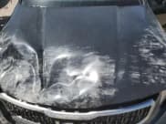 ✅ 2023 Kia Telluride EX • VIN: 5XYP34GC0PG347913 • Lot: 50332275. Listed on Copart with Not provided. Free auction sales archive from the USA and detailed vehicle history report at DreamBid. Image 14.