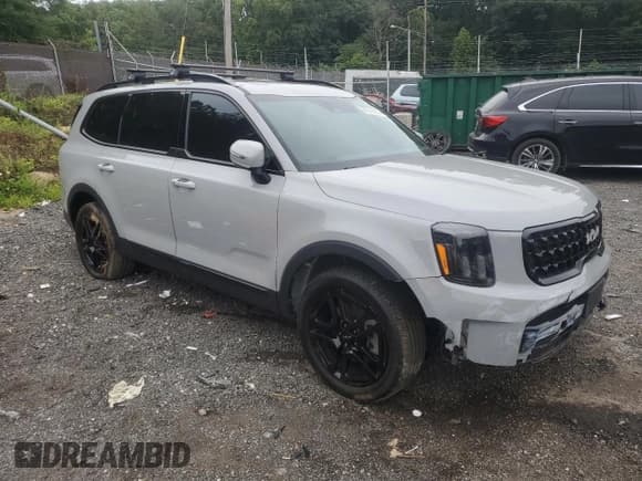 ✅ 2024 Kia Telluride EX X-Line • VIN: 5XYP3DGC4RG429016 • Lot: 69316305. Listed on Copart with 42,714 mi. Free auction sales archive from the USA and detailed vehicle history report at DreamBid. Image 4.