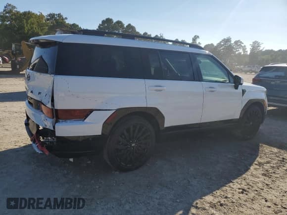 ✅ 2025 Hyundai Santa Fe Calligraphy • VIN: 5NMP54GL3SH087094 • Lot: 80396755. Listed on Copart with 4,828 mi. Free auction sales archive from the USA and detailed vehicle history report at DreamBid. Image 3.