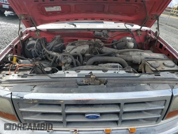 ✅ 1992 Ford F-150 • VIN: 1FTEF14Y2NLA24350 • Lot: 47398855. Wystawiony na Copart z przebiegiem 128 383 mil. Bezpłatny archiwum sprzedaży aukcyjnych z USA i szczegółowy raport historii pojazdu na DreamBid. Zdjęcie 11.