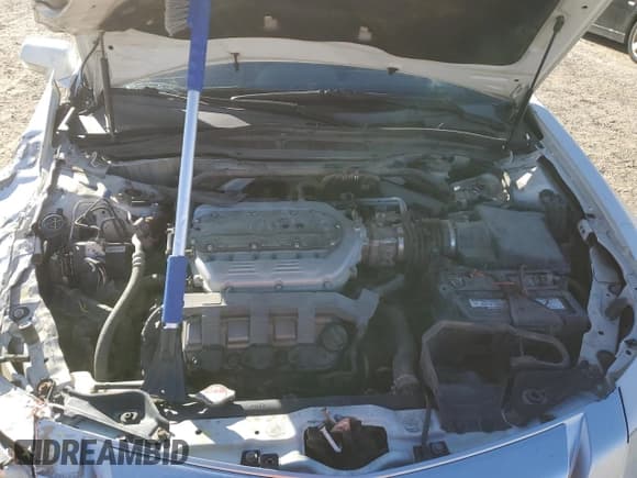 ✅ 2009 Acura TL Technology • VIN: 19UUA96589A800401 • Lot: 89462135. Listed on Copart with 250,230 mi. Free auction sales archive from the USA and detailed vehicle history report at DreamBid. Image 11.