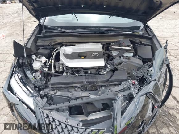 ✅ 2022 Lexus UX 200 • VIN: JTHP3JBHXN2046587 • Lot: 42378996. Listed on IAAI with 32,000 mi. Free auction sales archive from the USA and detailed vehicle history report at DreamBid. Image 10.