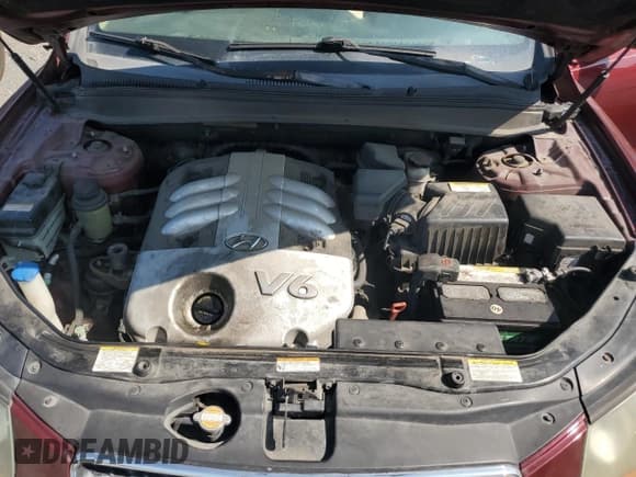 ✅ 2007 Hyundai Santa Fe SE • VIN: 5NMSH13E27H017097 • Lot: 69266534. Listed on Copart with 105,039 mi. Free auction sales archive from the USA and detailed vehicle history report at DreamBid. Image 12.