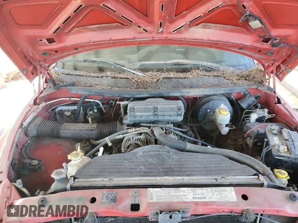 ✅ 2000 Dodge 1500 • VIN: 3B7HF13Z8YG161348 • Лот: 41558035. Размещён на Copart с пробегом Не указан миль. Получите бесплатный доступ к архиву аукционных продаж из США и посмотрите подробный отчёт об истории автомобиля на DreamBid. Изображение 12.