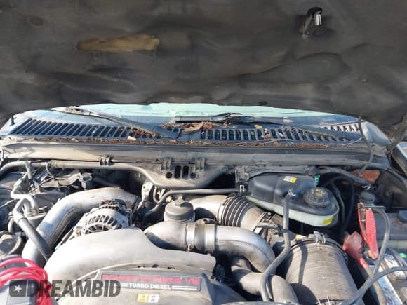 ✅ 2003 Ford F-250 XL • VIN: 1FTNX21P43EC75774 • Лот: 42822558. Опубликован ранее на IAAI с пробегом 303 508 миль. Бесплатный доступ к архиву аукционных продаж из США и подробный отчёт об истории автомобиля на DreamBid. Изображение 10.