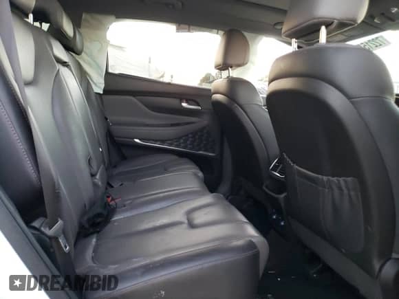 2020 Hyundai Santa Fe SEL z VIN 5NMS3CAA6LH162292, wystawiony jako Copart lot #72215802 z przebiegiem 39 803 mil mil oraz . Historia ofert i sprzedaży dostępna na DreamBid. Obrazek 11.