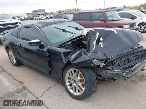 ✅ 2013 Ford Mustang V6 • VIN: 1ZVBP8AM8D5221159 • Lot: 42789088. Listed on IAAI with 108,555 mi. Free auction sales archive from the USA and detailed vehicle history report at DreamBid. Image 1.