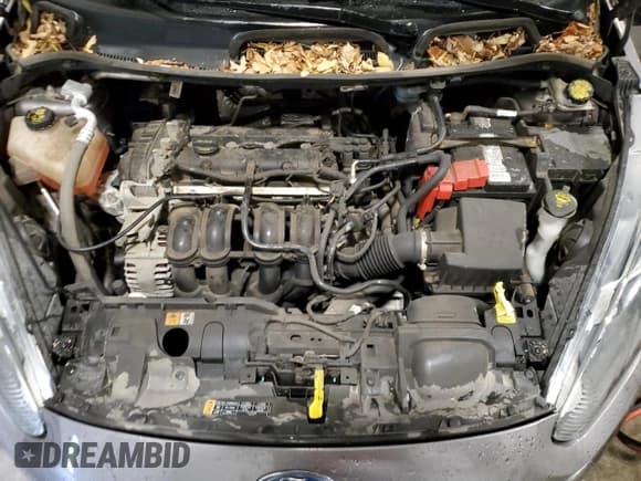 ✅ 2014 Ford Fiesta SE • VIN: 3FADP4BJ8EM133142 • Lot: 85000405. Listed on Copart with 88,818 mi. Free auction sales archive from the USA and detailed vehicle history report at DreamBid. Image 11.