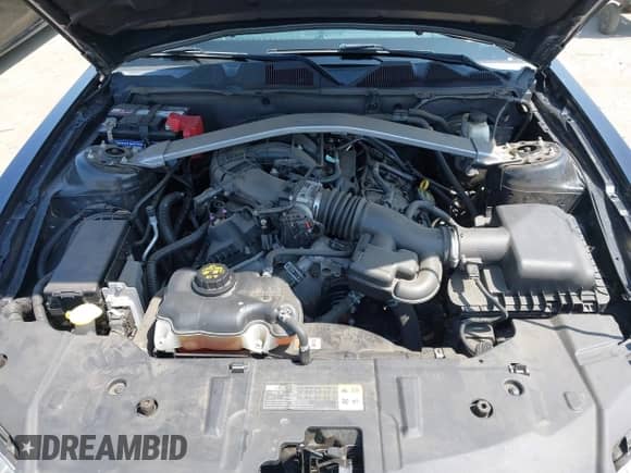 2014 Ford Mustang V6 с VIN 1ZVBP8EM0E5275146, выставлен на аукционе IAAI как лот 42606251 с пробегом 42 663 миль миль и . История ставок и продаж доступна на DreamBid. Изображение 10.