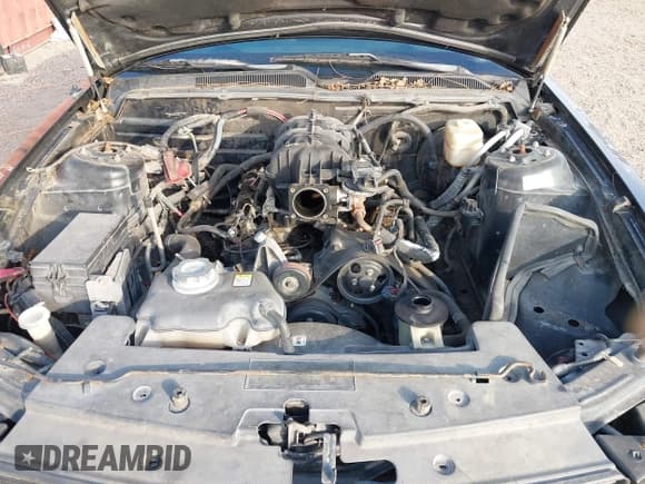 ✅ 2007 Ford Mustang Deluxe • VIN: 1ZVFT80N675284367 • Lot: 43657947. Listed on IAAI with 175,795 mi. Free auction sales archive from the USA and detailed vehicle history report at DreamBid. Image 10.