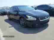 2013 Nissan Maxima SV с VIN 1N4AA5AP9DC813616, выставлен на аукционе IAAI как лот 42708005 с пробегом 88 510 миль миль и . История ставок и продаж доступна на DreamBid. Изображение 6.