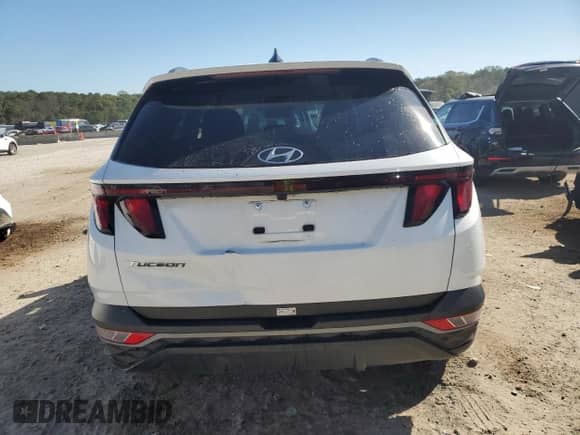 2024 Hyundai Tucson SEL with VIN 5NMJB3DE3RH353660, listed as a Copart auction lot 89930265 with 48,273 mi miles and Non repairable. Bid and sale history available at DreamBid. Image 6.
