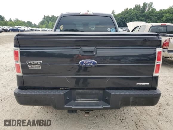 ✅ 2013 Ford F-150 XL • VIN: 1FTFX1EFXDKD57043 • Lot: 67001245. Wystawiony na Copart z przebiegiem 175 844 mil. Bezpłatny archiwum sprzedaży aukcyjnych z USA i szczegółowy raport historii pojazdu na DreamBid. Zdjęcie 6.