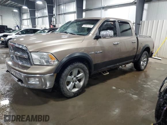 ✅ 2010 Dodge 1500 Laramie • VIN: 1D7RV1CT9AS120217 • Lot: 47941375. Wystawiony na Copart z przebiegiem 201 433 mil. Bezpłatny archiwum sprzedaży aukcyjnych z USA i szczegółowy raport historii pojazdu na DreamBid. Zdjęcie 1.