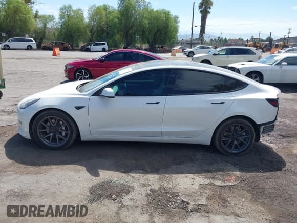 ✅ 2021 Tesla Model 3 Standard Range Plus • VIN: 5YJ3E1EA1MF000778 • Lot: 43229701. Wystawiony na IAAI z przebiegiem 84 054 mil. Bezpłatny archiwum sprzedaży aukcyjnych z USA i szczegółowy raport historii pojazdu na DreamBid. Zdjęcie 14.