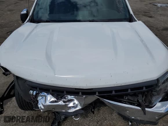 ✅ 2019 Chevrolet Silverado 1500 LT • VIN: 3GCPWCED2KG282201 • Lot: 73458944. Wystawiony na Copart z przebiegiem 78 425 mil. Bezpłatny archiwum sprzedaży aukcyjnych z USA i szczegółowy raport historii pojazdu na DreamBid. Zdjęcie 11.