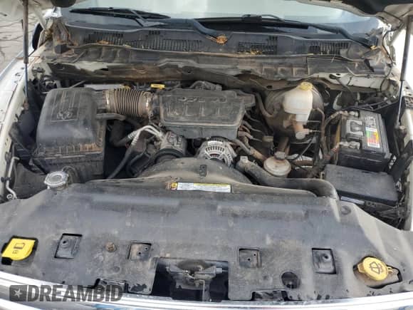 2009 Dodge 1500 SLT z VIN 1D3HV18P69S811788, wystawiony jako Copart lot #71262434 z przebiegiem 207 941 mil mil oraz Szkoda całkowita • Salvage title. Historia ofert i sprzedaży dostępna na DreamBid. Obrazek 11.