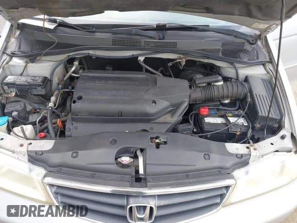 ✅ 2003 Honda Odyssey EX-L • VIN: 5FNRL18083B053639 • Lot: 43114335. Listed on IAAI with 169,855 mi. Free auction sales archive from the USA and detailed vehicle history report at DreamBid. Image 10.