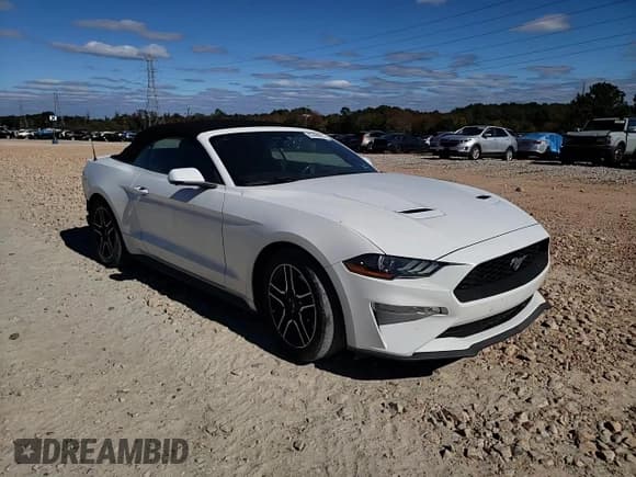 ✅ 2019 Ford Mustang EcoBoost Premium • VIN: 1FATP8UHXK5149034 • Lot: 82496025. Listed on Copart with 128,244 mi. Free auction sales archive from the USA and detailed vehicle history report at DreamBid. Image 13.