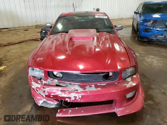 ✅ 2007 Ford Mustang Deluxe • VIN: 1ZVFT80NX75280726 • Lot: 86628615. Wystawiony na Copart z przebiegiem 193 785 mil. Bezpłatny archiwum sprzedaży aukcyjnych z USA i szczegółowy raport historii pojazdu na DreamBid. Zdjęcie 5.