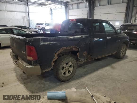 2010 Dodge 1500 ST z VIN 1D7RV1GP2AS102722, wystawiony jako Copart lot #81904244 z przebiegiem 138 515 mil mil oraz Szkoda całkowita • Salvage title. Historia ofert i sprzedaży dostępna na DreamBid. Obrazek 3.