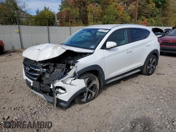 ✅ 2017 Hyundai Tucson Sport • VIN: KM8J3CA25HU504895 • Лот: 87307055. Опубликован ранее на Copart с пробегом 111 553 миль. Бесплатный доступ к архиву аукционных продаж из США и подробный отчёт об истории автомобиля на DreamBid. Изображение 1.