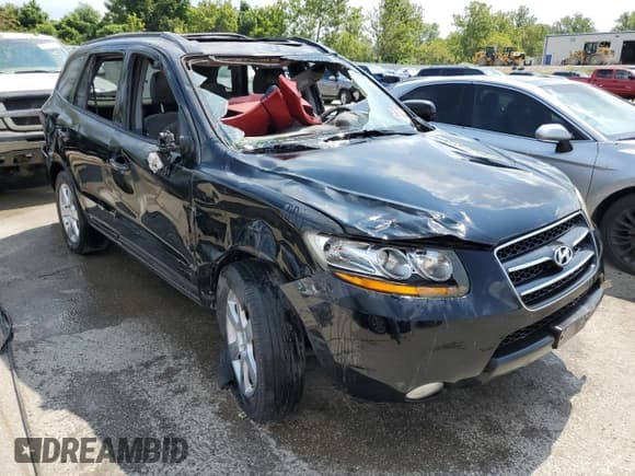 ✅ 2009 Hyundai Santa Fe Limited • VIN: 5NMSH13E39H276927 • Lot: 65666704. Listed on Copart with Not provided. Free auction sales archive from the USA and detailed vehicle history report at DreamBid. Image 4.