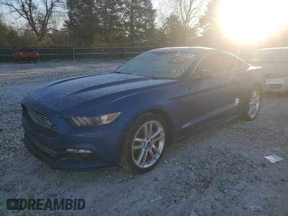 ✅ 2017 Ford Mustang EcoBoost • VIN: 1FA6P8TH2H5238359 • Lot: 92683575. Listed on Copart with Not provided. Free auction sales archive from the USA and detailed vehicle history report at DreamBid. Image 1.