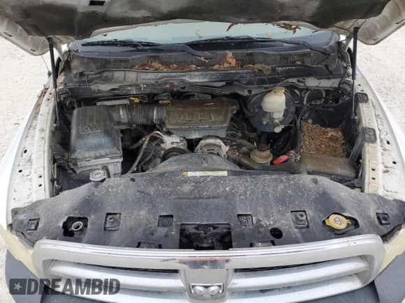 2010 Dodge 1500 ST с VIN 1D7RB1GP0AS162846, выставлен на аукционе Copart как лот 86528374 с пробегом Не указан миль и Чистый • Clean title. История ставок и продаж доступна на DreamBid. Изображение 11.