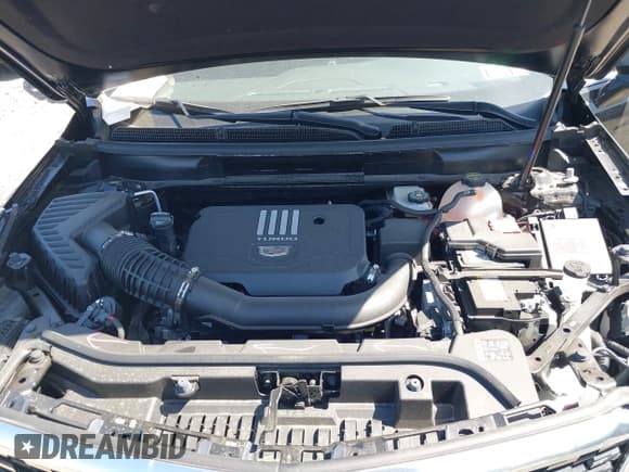 ✅ 2024 Cadillac XT5 FWD Luxury • VIN: 1GYKNAR43RZ725293 • Lot: 42138025. Wystawiony na IAAI z przebiegiem 6 525 mil. Bezpłatny archiwum sprzedaży aukcyjnych z USA i szczegółowy raport historii pojazdu na DreamBid. Zdjęcie 10.