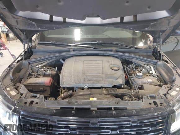 ✅ 2025 Land Rover Range Rover Velar Dynamic SE • VIN: SALYL2EX3SA398189 • Lot: 42806050. Listed on IAAI with 29,765 mi. Free auction sales archive from the USA and detailed vehicle history report at DreamBid. Image 10.