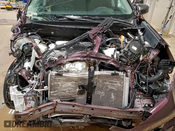 ✅ 2017 Toyota RAV4 LE • VIN: 2T3BFREV8HW618898 • Lot: 95419805. Listed on Copart with Not provided. Free auction sales archive from the USA and detailed vehicle history report at DreamBid. Image 12.