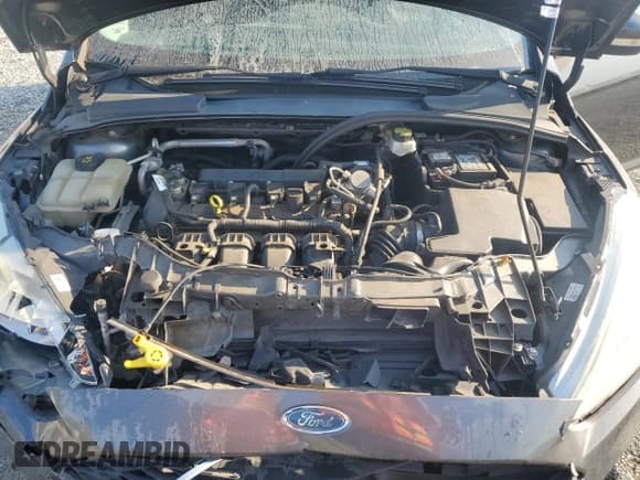 ✅ 2017 Ford Focus SE • VIN: 1FADP3K20HL279009 • Lot: 81063045. Listed on Copart with 115,853 mi. Free auction sales archive from the USA and detailed vehicle history report at DreamBid. Image 11.