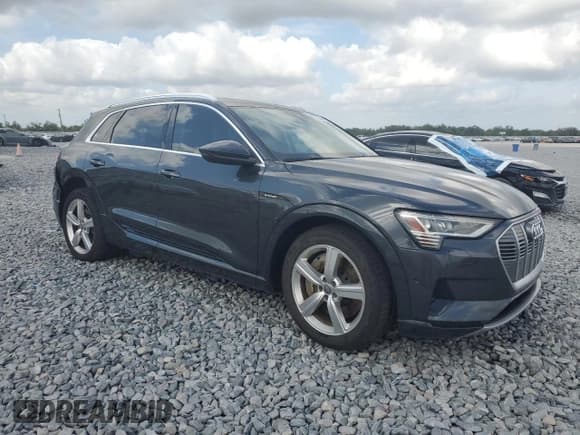 ✅ 2019 Audi e-tron Premium Plus • VIN: WA1LAAGE8KB024694 • Lot: 54429195. Listed on Copart with 46,534 mi. Free auction sales archive from the USA and detailed vehicle history report at DreamBid. Image 4.