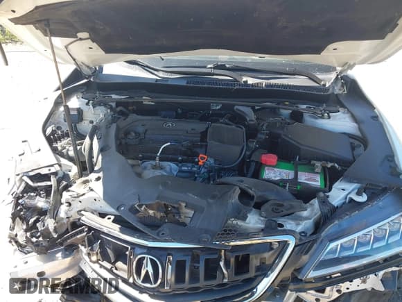 ✅ 2015 Acura TLX Technology • VIN: 19UUB1F57FA018908 • Lot: 43397566. Listed on IAAI with 123,015 mi. Free auction sales archive from the USA and detailed vehicle history report at DreamBid. Image 10.