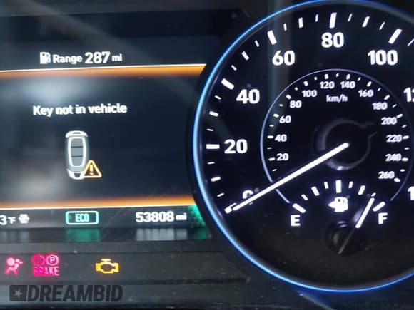 ✅ 2021 Hyundai Palisade SEL • VIN: KM8R3DHE0MU202918 • Лот: 41231523. Опубликован ранее на IAAI с пробегом 53 808 миль. Бесплатный доступ к архиву аукционных продаж из США и подробный отчёт об истории автомобиля на DreamBid. Изображение 15.