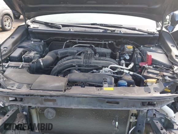 ✅ 2019 Subaru Crosstrek Limited • VIN: JF2GTAMC4K8284559 • Lot: 43536730. Listed on IAAI with 106,595 mi. Free auction sales archive from the USA and detailed vehicle history report at DreamBid. Image 10.