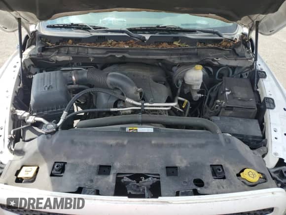 2013 Ram 1500 Express z VIN 3C6JR6AT8DG501443, wystawiony jako Copart lot #81829035 z przebiegiem 167 510 mil mil oraz Szkoda całkowita • Salvage title. Historia ofert i sprzedaży dostępna na DreamBid. Obrazek 11.