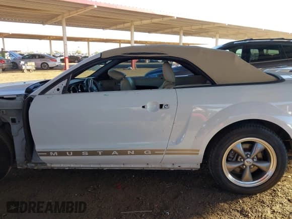 ✅ 2005 Ford Mustang GT Deluxe • VIN: 1ZVHT85H055248991 • Лот: 43541903. Опубликован ранее на IAAI с пробегом 120 990 миль. Бесплатный доступ к архиву аукционных продаж из США и подробный отчёт об истории автомобиля на DreamBid. Изображение 15.