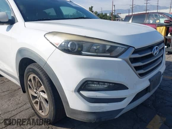 2017 Hyundai Tucson Sport с VIN KM8J33A20HU430981, выставлен на аукционе IAAI как лот 43633688 с пробегом 193 227 миль миль и . История ставок и продаж доступна на DreamBid. Изображение 18.
