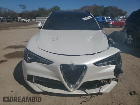 ✅ 2019 Alfa Romeo Stelvio Quadrifoglio • VIN: ZASPAKEV5K7C46796 • Lot: 44673644. Listed on Copart with 43,130 mi. Free auction sales archive from the USA and detailed vehicle history report at DreamBid. Image 5.
