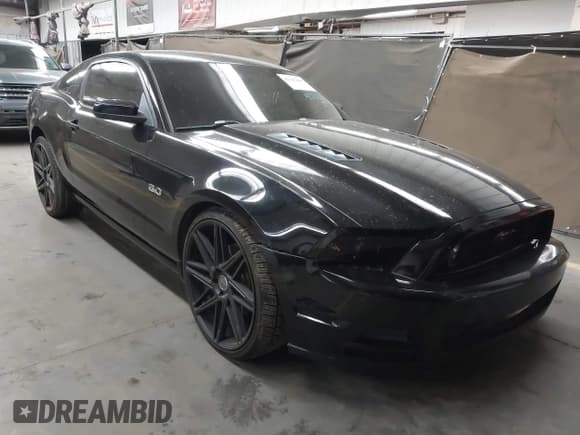 ✅ 2013 Ford Mustang GT • VIN: 1ZVBP8CF8D5262597 • Lot: 42111486. Listed on IAAI with 85,913 mi. Free auction sales archive from the USA and detailed vehicle history report at DreamBid. Image 1.